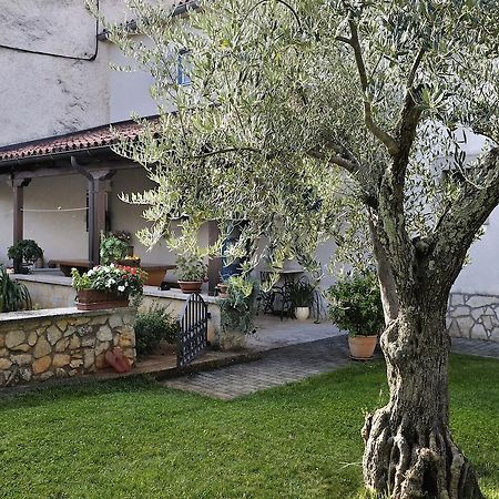 Apartment Vita Porec Bagian luar foto