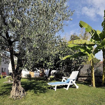 Apartment Vita Porec Bagian luar foto